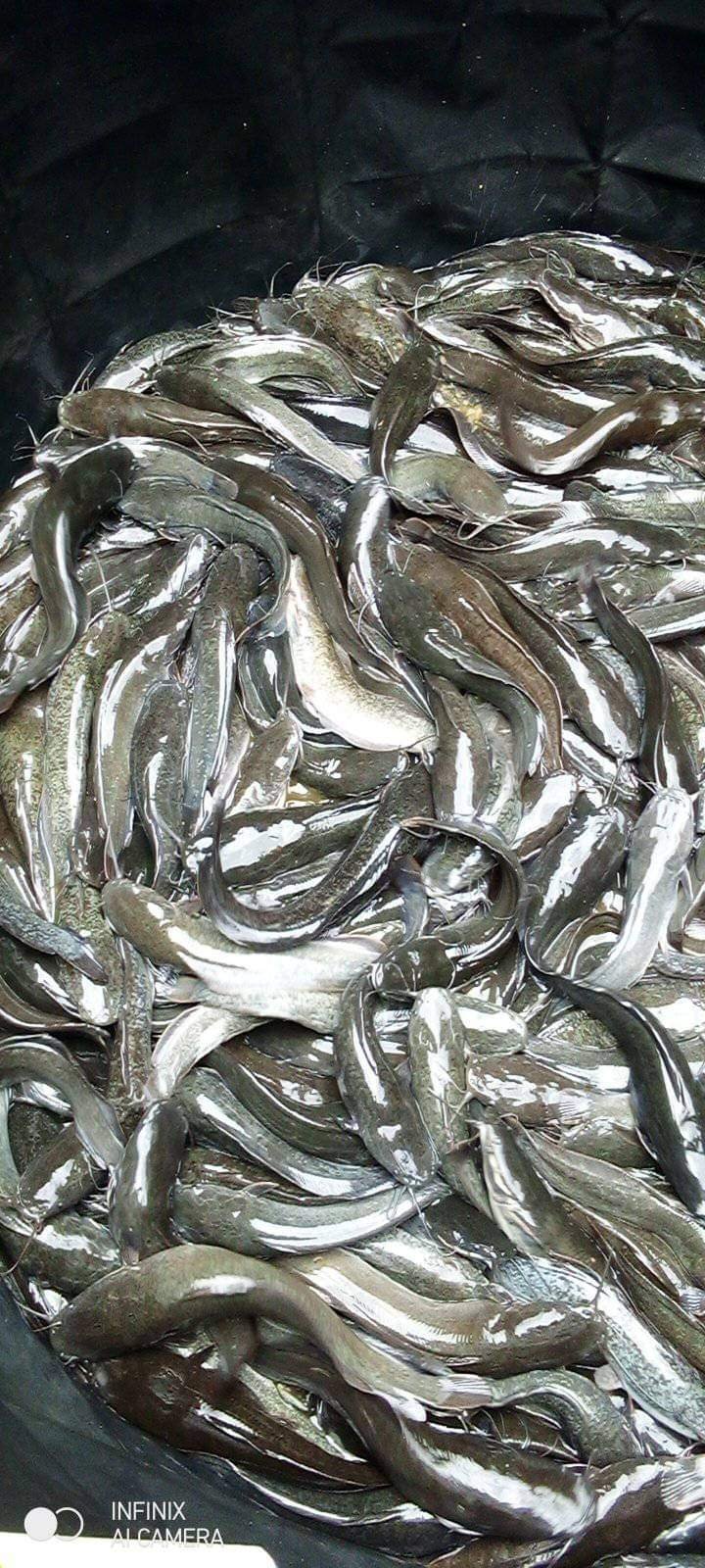 FB_IMG_1671648253987