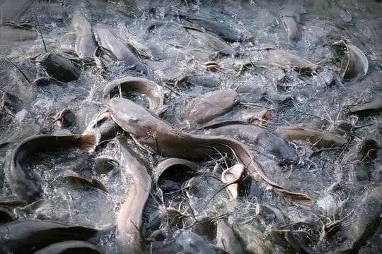 WhatsApp-Image-2025-07-21-a-22.54.42_b6c1c711