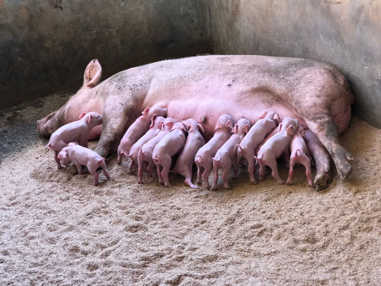 WhatsApp Image 2026-02-27 at 20.14.01 (1)